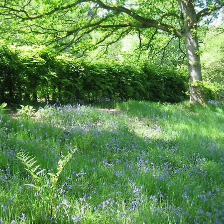 Gospodarstwo wiejskie High Dalby House & Cottages *